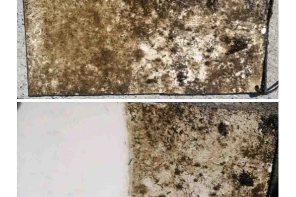 SEA SPEED 4 Week Submersion Test