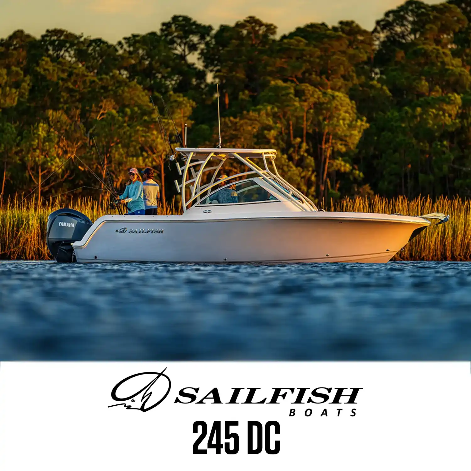 Sailfish 245 DC